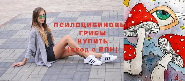 a pvp Абаза
