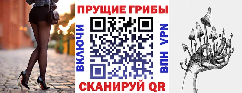 Псилоцибиновые грибы Cubensis  Бавлы 